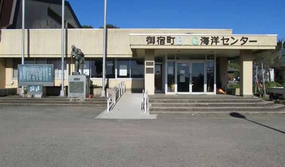 体育館 全体内観